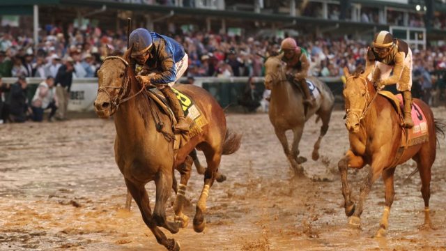 Navigating the Future of Horse